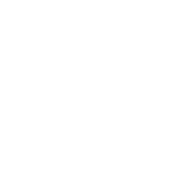 city of dallas logo